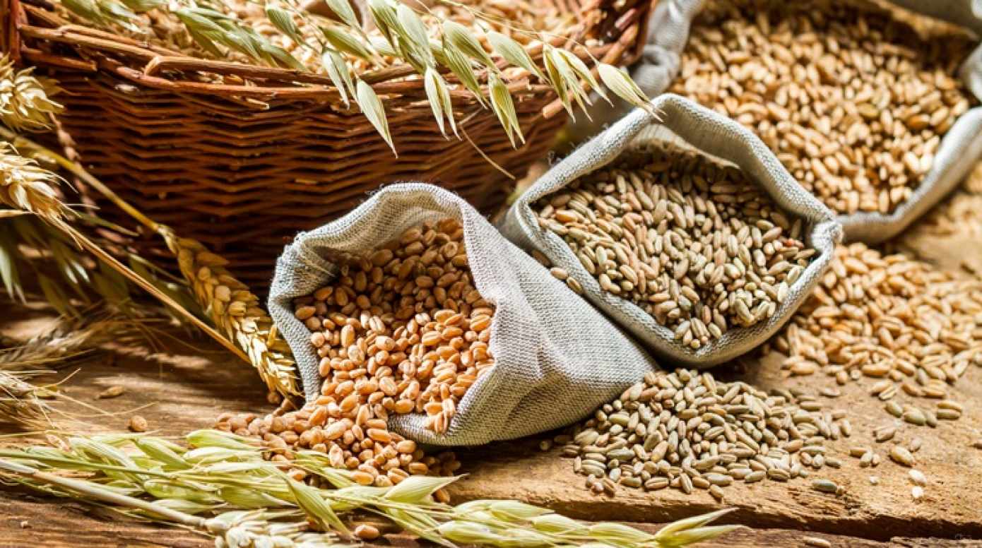 Agricultural Export & Import
